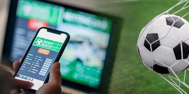 Hướng dẫn cách xem bảng xếp hạng