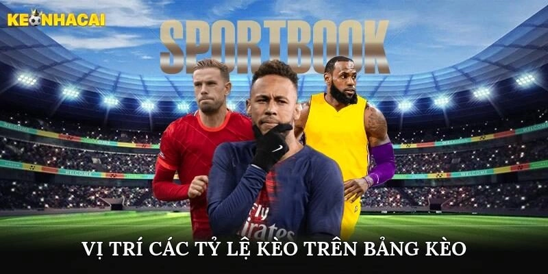 Vị trí các tỷ lệ kèo trên bảng kèo nhà cái